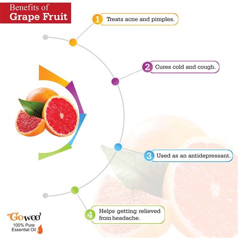 Buy GO WOO 100% PURE GRAPEFRUIT OIL VIRGIN & UNDILUTED 30 ML Online ...
