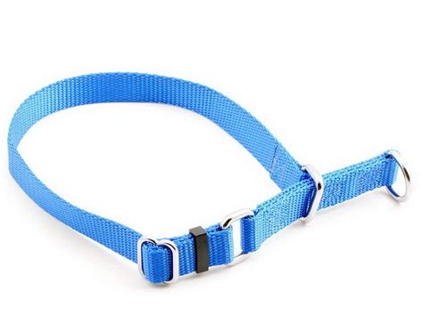 Buy Tuff Lock Nylon Choker Dog Collar, Rust-Free Quick Release ...