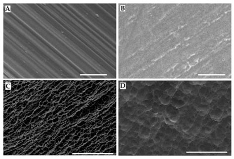 Surgeries | An Open Access Journal from MDPI