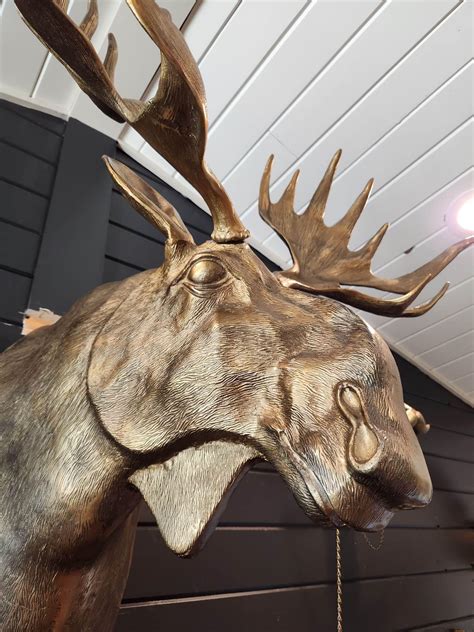 Eugene Moose Head Wall Mount - Plaques & Signs - Mukwonago, Wisconsin ...