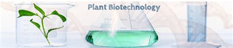 Biotechnology Projects 的图像结果