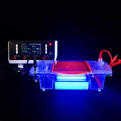 Gel Electrophoresis Equipment Best Sale | emergencydentistry.com