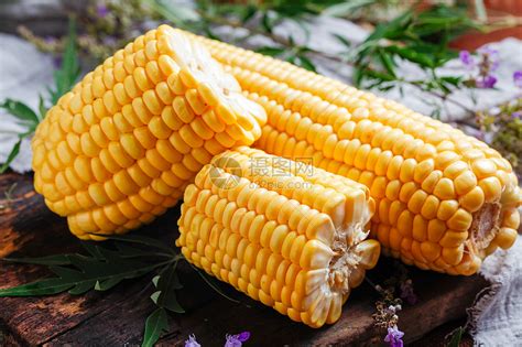 玉米常见的种类及图片-农百科