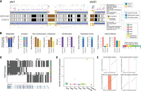 Human Genome Project 的图像结果