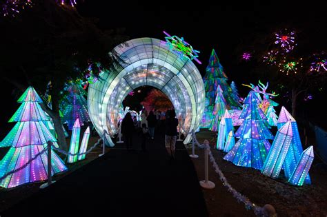 What Time Does La Zoo Lights Open at Tasha Hyman blog