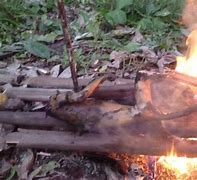 Image result for Baby Monkey On Fire