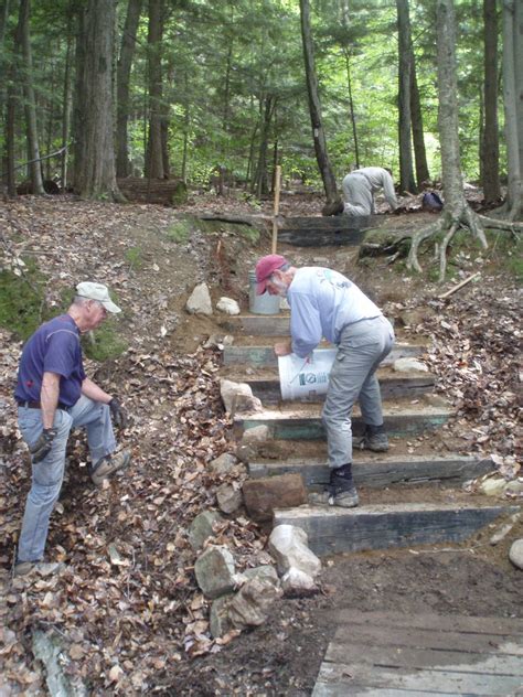 Image result for Structural Timber Steps