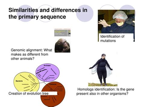 Image result for Bioinformatics Terminologies