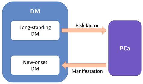 Screening Strategy of Pancreatic Cancer in Patients with Diabetes Mellitus