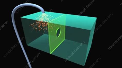 Image result for Animation How Diffusion Animation How Diffusion Works