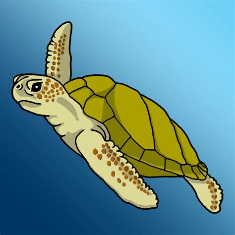 Sea turtle clip art free clipart images - WikiClipArt