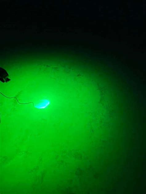 Hummingbird Fish Locator Helix 的图像结果