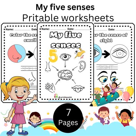 My five senses book | Made By Teachers