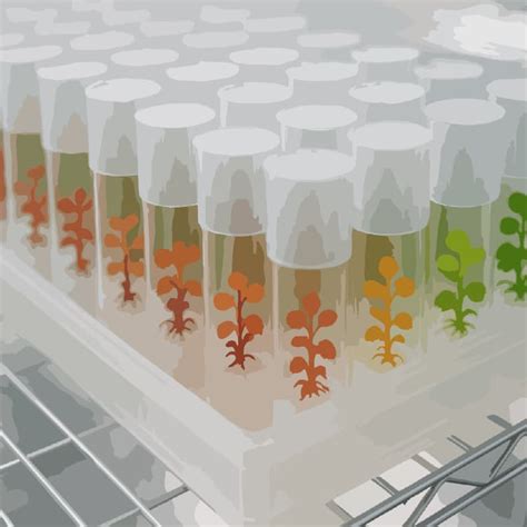 Genetic Engineering Kit 的图像结果