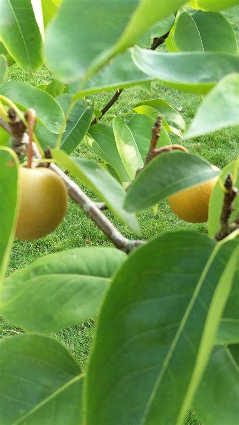 DET GAMLE MEJERI GJERRILD (Grenaa) - B&B Reviews & Photos - Tripadvisor