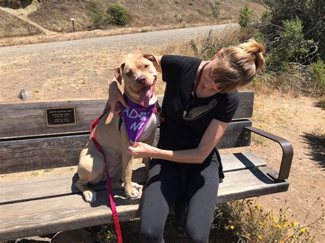Volunteer — Friends of Berkeley Animal Care Services (FoBACS)