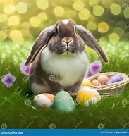 Image result for Holland Lop Furry