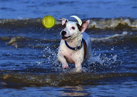 Slideshow: 11 Random Facts That Will Make You Happier Just By Reading