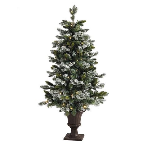 Mixed Flocking 4' Potted Noble Tree | Ballard Designs