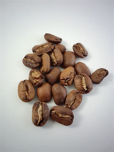 Café 100% arábica en grano o molido Variedad Maragogype - TiendAvilés