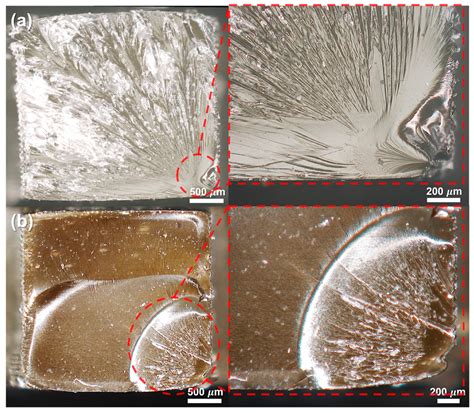 Bio-Adhesive Lignin-Reinforced Epoxy Acrylate (EA)-Based Composite as a ...