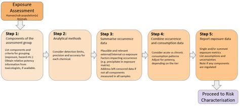 Risk Assessment of Combined Exposure to Multiple Chemicals at the ...