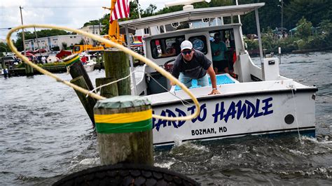 Image result for Boat Docking Fails