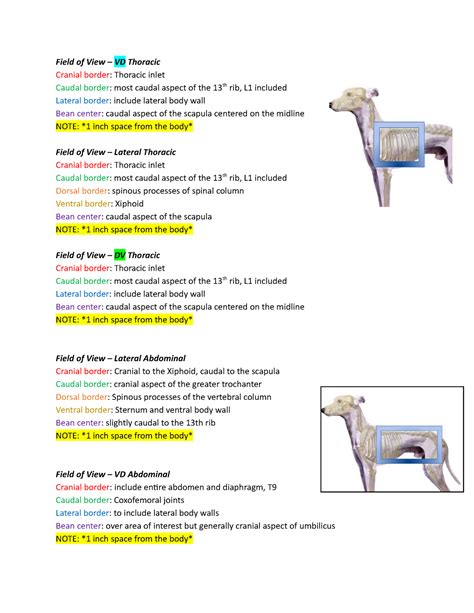 Positioning Abd and Thorax xray - Field of View - VD Thoracic Cranial ...