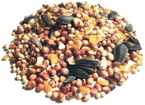Bird Food Types at Leo Mclucas blog