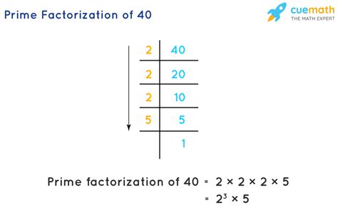 Prime Factorization Tutorial Lesson 的图像结果