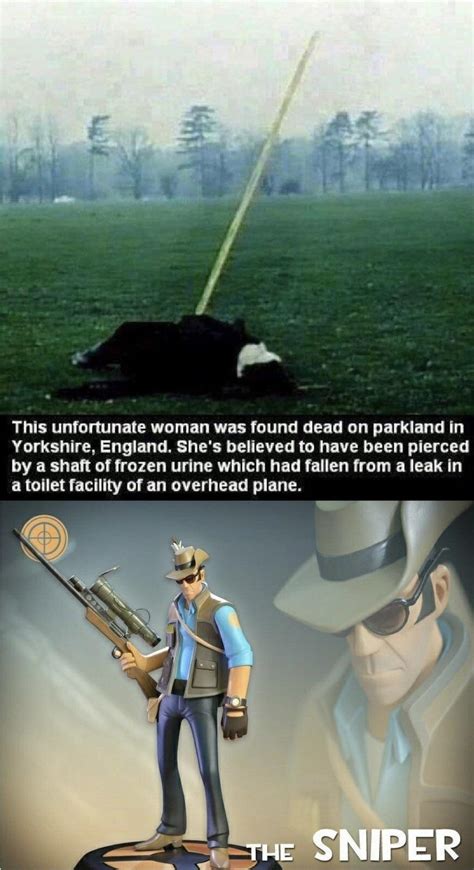 Tutorial Standards TF2 的图像结果