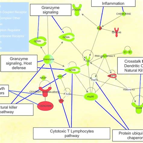 Connectivity Map 的图像结果