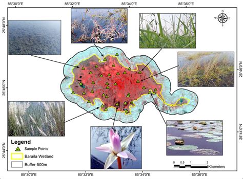 Image result for Vegetations Field Study Examples