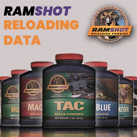 Image result for Reloading Software/Database