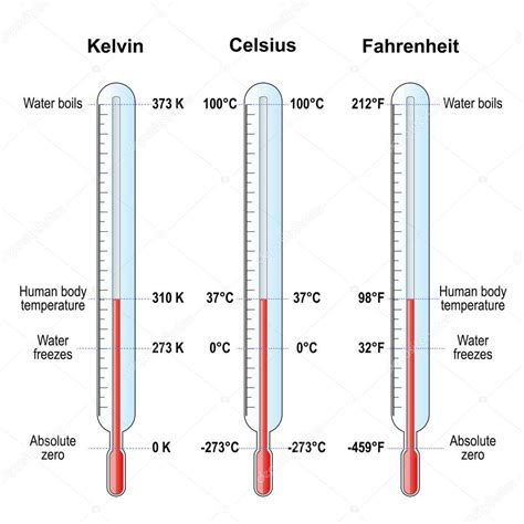 escalas de temperatura. Termómetros Celsius, Fahrenheit y Kelvin ...