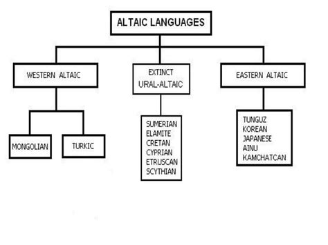 Image result for Altaic Languages Tree