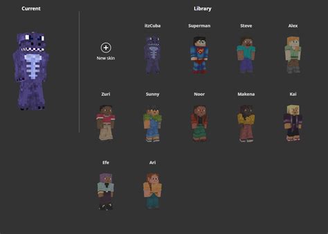 Image result for How Do You Get a Skin On Minecraft Java