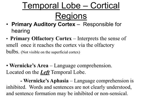 physiology of cerebral cortex, cerbral cortex.ppt