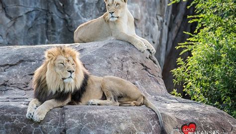 SEDGWICK COUNTY ZOO - All You Need to Know BEFORE You Go 2026 (with ...