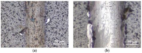 Structure and Tribological Properties of AlCrN + CrCN Coating
