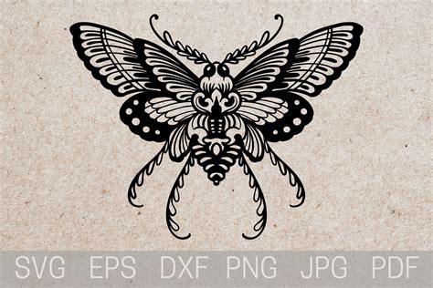 Traditional Moth Tattoo Drawing