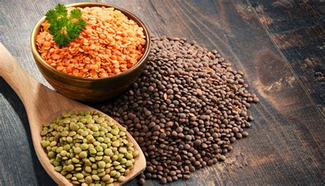 7 Best Protein Rich Foods To Include in Your Diet - lifeberrys.com