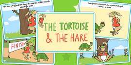 What is a tortoise? - Find out more about these land-dwelling shelled ...