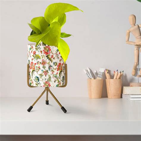 Buy Indoor Plant Tabletop Pots & Planters For Home/Office Online In ...