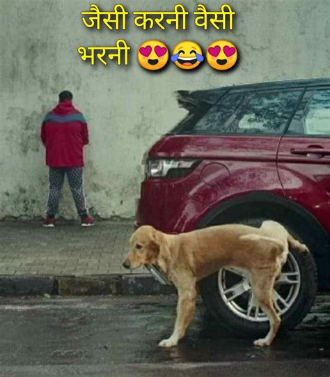 Local Boys Memes 的图像结果