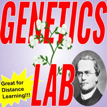 Virtual Lab Genetics 的图像结果