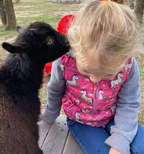 The Eagle's Nest Play to Learn Center - Nature Explore Program