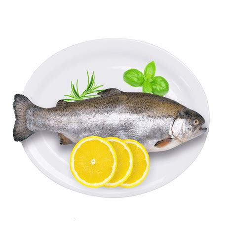 Buy Fresh Himalayan Rainbow Trout Fish Online - Freshtogo.in