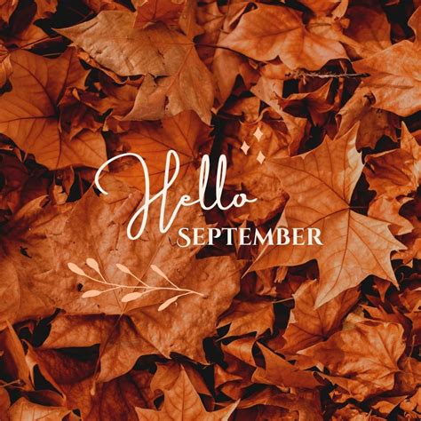 Bone Dry Roofing - Indianapolis (@bdrindy) • Instagram photos and videos