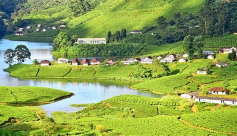 5 Places in Munnar you Can Visit for Honeymoon - lifeberrys.com